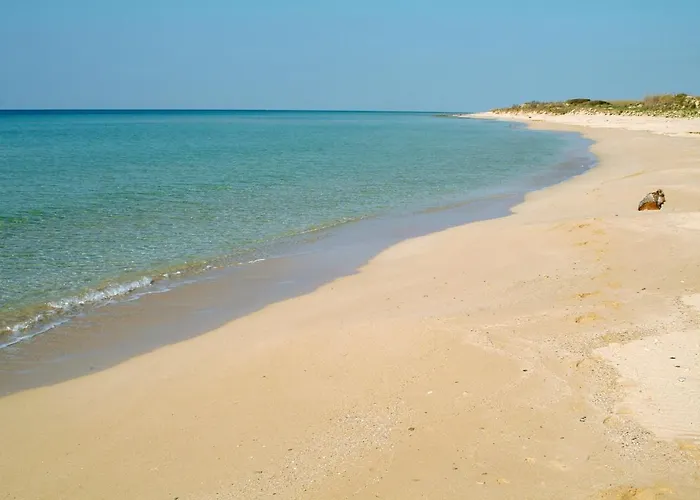 Tenuta Regina Villa Castrignano del Capo